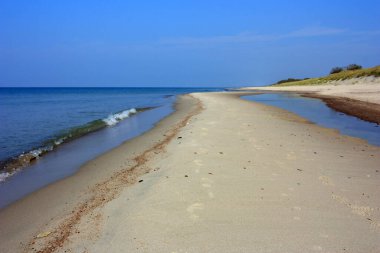 Mavi denizin kumlu kıyısı