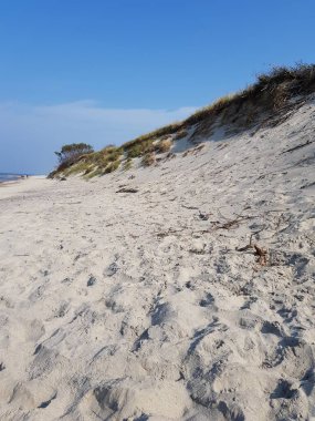 Kum tepeleri yeşil çimlerle kaplanmış.