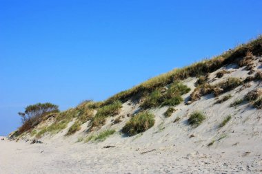 Kum tepeleri yeşil çimlerle kaplanmış.