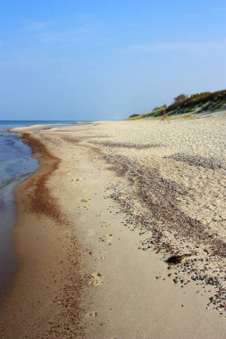 Mavi denizin kumlu kıyısı