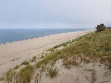 Mavi denizin kumlu kıyısı