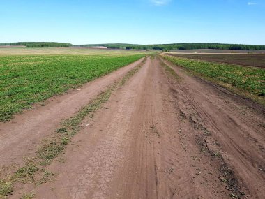 Yeşil tarlada toprak bir köy yolu