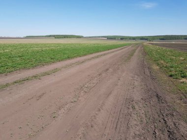 Yeşil tarlada toprak bir köy yolu