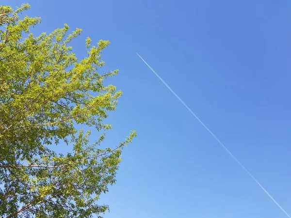 White Airplane Trace Blue Sky — Stock Photo, Image