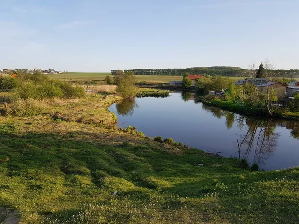 Les Rives Étang Sont Envahies Par Herbe Verte — Photo