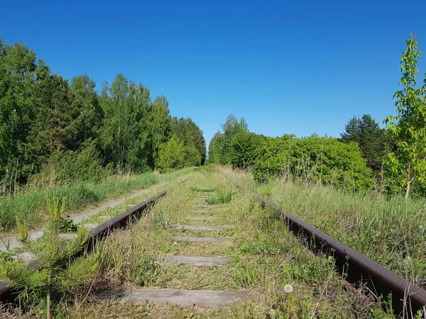 野原の古い廃線鉄道 — ストック写真