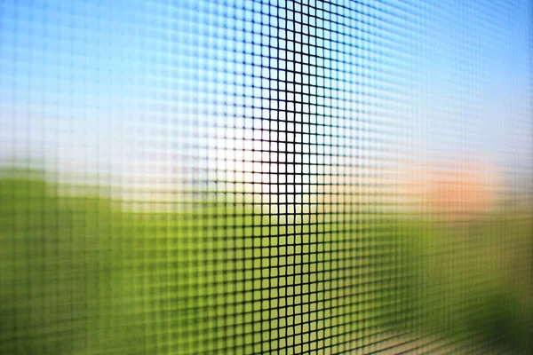 Mosquitero Ventana —  Fotos de Stock