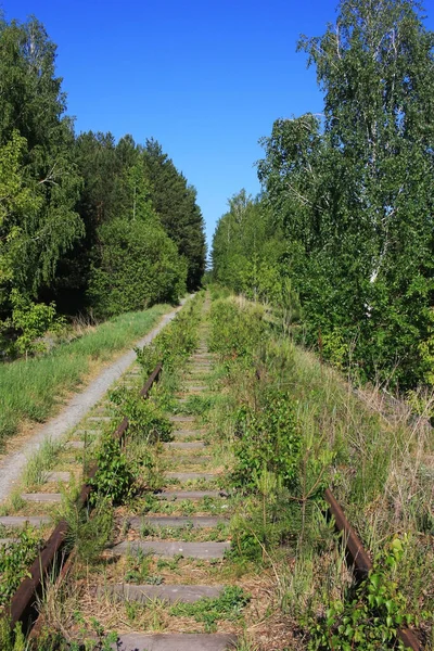 Vecchio Viadotto Ferroviario Abbandonato Sulla Strada — Foto Stock