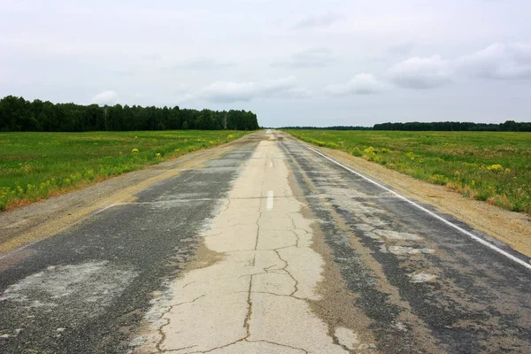 Desert Asphalt Road Green Field — Stock Photo, Image