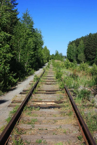 Velha Ferrovia Abandonada Floresta — Fotografia de Stock