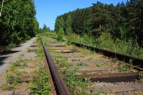 Velha Ferrovia Abandonada Floresta — Fotografia de Stock