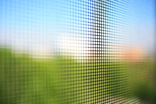 Mosquitero Ventana — Foto de Stock