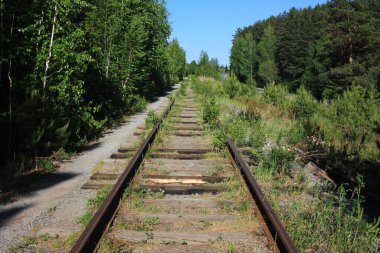 Ormanda terk edilmiş demiryolu.