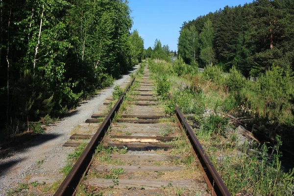 Ferrovia Abandonada Floresta — Fotografia de Stock