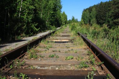 Ormanda terk edilmiş demiryolu.