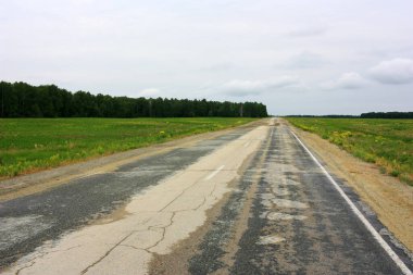 Yeşil tarlada boş bir asfalt yol