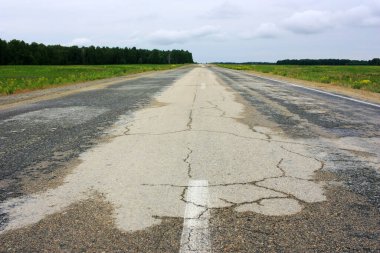 Yeşil alanda boş asfalt yol