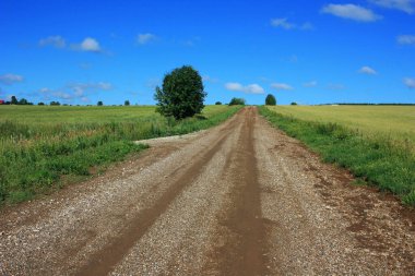 Tarlada toprak bir köy yolu