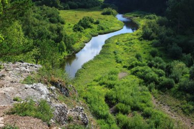 Nehir yeşil ağaçların arasından akar.