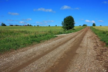 Tarladaki toprak yol.