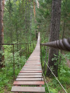 Ormanda ahşap asma köprü