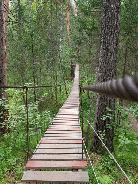 Puente Colgante Madera Bosque — Foto de Stock