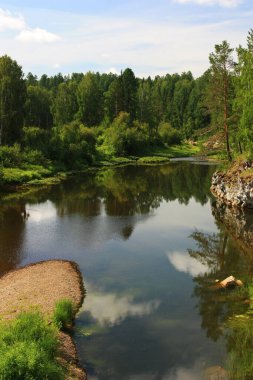 Nehir kıyısında yeşil ağaçlar yetişir.