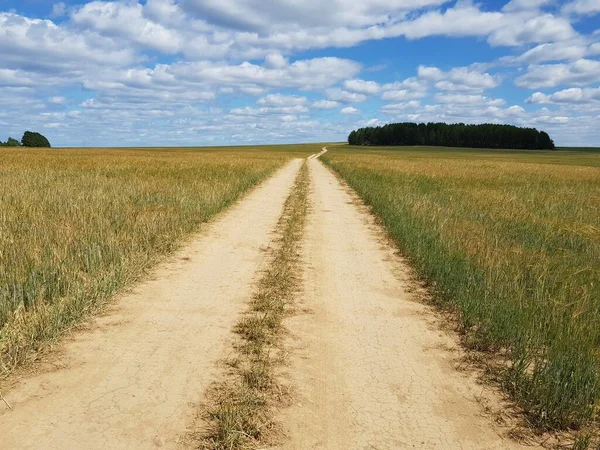 Брудна Сільська Дорога Зеленому Полі — стокове фото