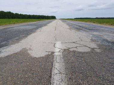 Yeşil alanda boş asfalt yol