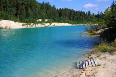 Turkuaz bir gölün kıyısında ağaçlar yetişir.
