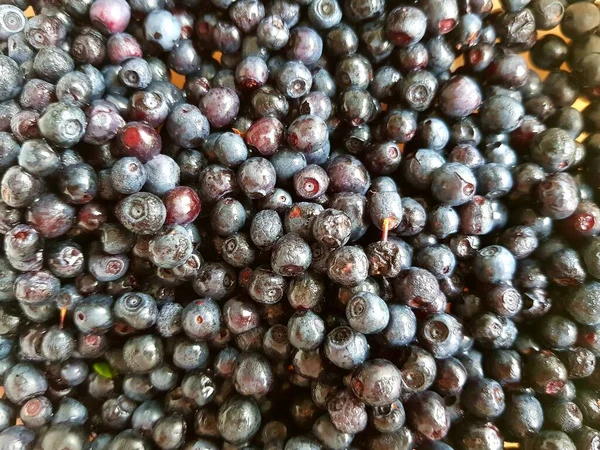 Tabakta Siyah Frenk Üzümü Var — Stok fotoğraf