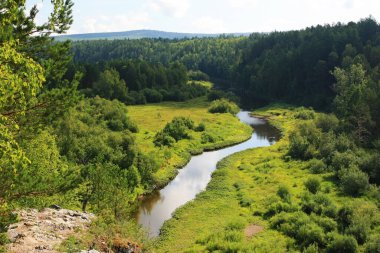 Nehir kıyısında yeşil ağaçlar yetişir.