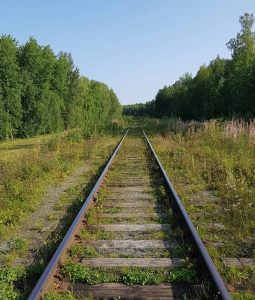 Ufukta Uzanan Demiryolu Rayları — Stok fotoğraf