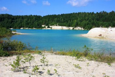 Turkuaz gölünün kıyısında yeşil ağaçlar