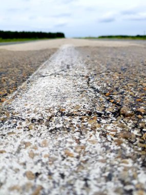 Yeşil alanda boş asfalt yol