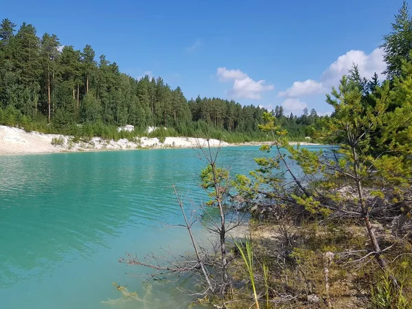 Зелені Дерева Березі Бірюзового Озера — стокове фото