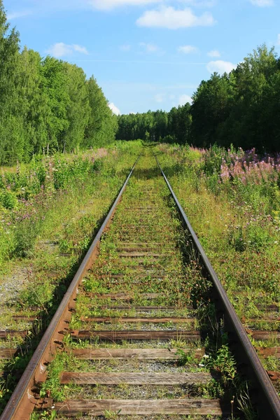 Velha Ferrovia Abandonada Floresta — Fotografia de Stock