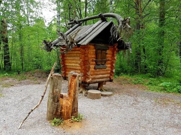Erdei Boszorkány Fából Készült Kunyhója Stock Kép