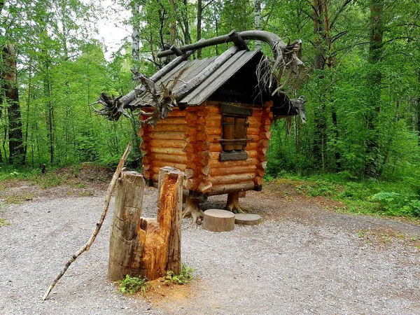 Деревянная Хижина Лесной Ведьмы Стоковая Картинка