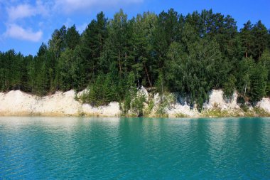 Turkuaz bir gölün kıyısında ağaçlar yetişir.