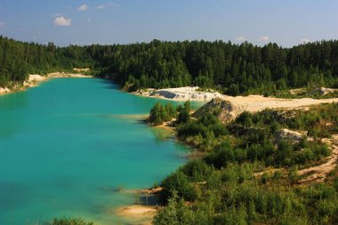 Turkuaz gölünün kıyısında ağaçlar yetişir.
