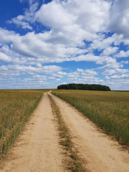 Strada Sterrata Campagna Campo Grano — Foto Stock