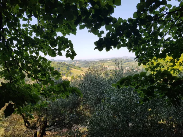 Doğanın güzel manzarası