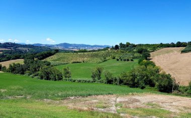 Tipik Toskana manzarası. Üzüm bağı ve tepeleri var. İtalya.