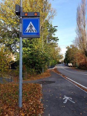 Yoldaki arabalar için trafik ışığı