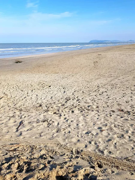 Tayland 'ın Chonburi bölgesindeki plaj ve tropikal deniz