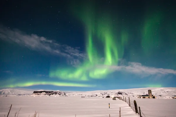 Aurora borealis na białym śniegiem krajobraz — Zdjęcie stockowe