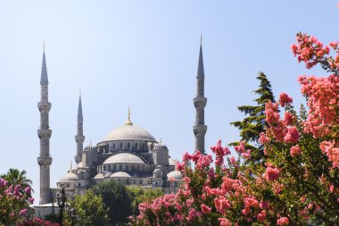 Görünümünü Sultanahmet Camii Sultanahmet Camii, Istanbul, Türkiye