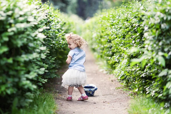 Маленька мила весела дівчинка гуляє в літньому парку, на відкритому повітрі — стокове фото