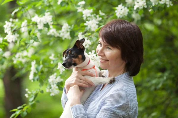 Portret szczęśliwy twoman i pies Jack Russell — Zdjęcie stockowe